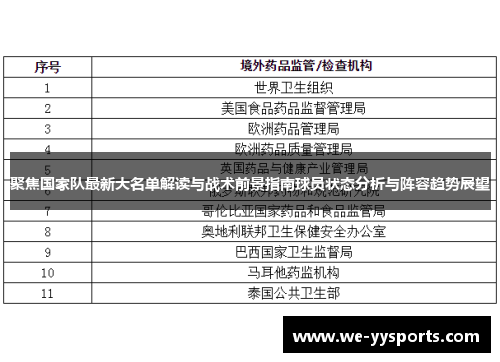 聚焦国家队最新大名单解读与战术前景指南球员状态分析与阵容趋势展望