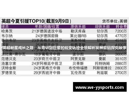 英超新星成长之路：从青训到巨星的蜕变轨迹全景解析发展密码探究故事